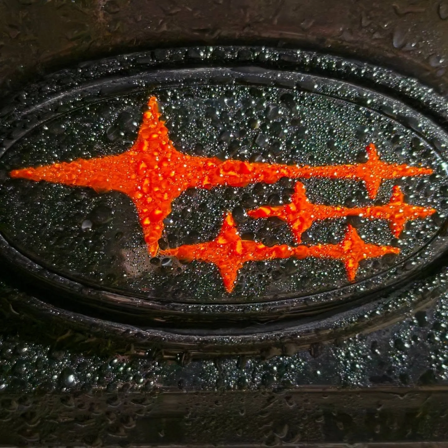 Orange badge beaded with rain