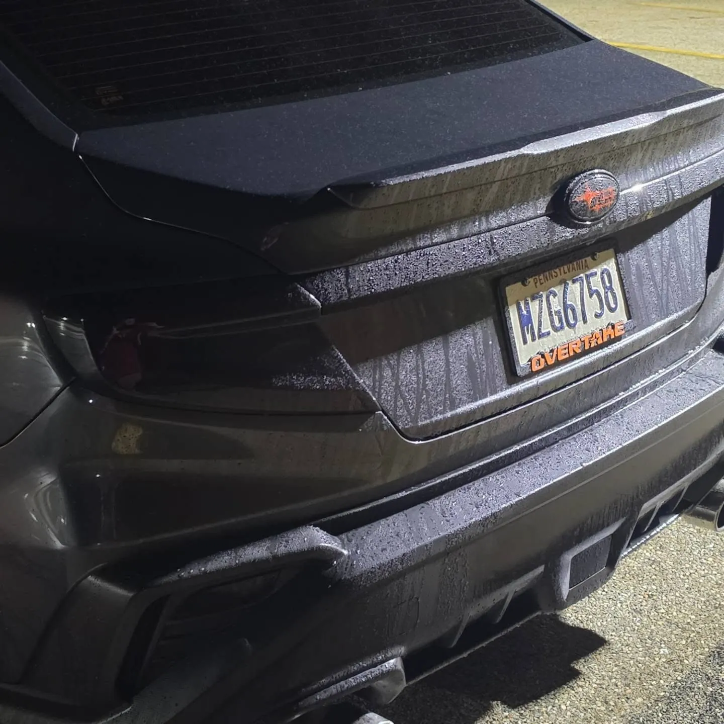 Rear in the rain