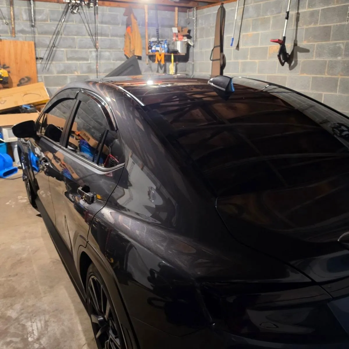 Fenrir in the garage the night before Boxerfest