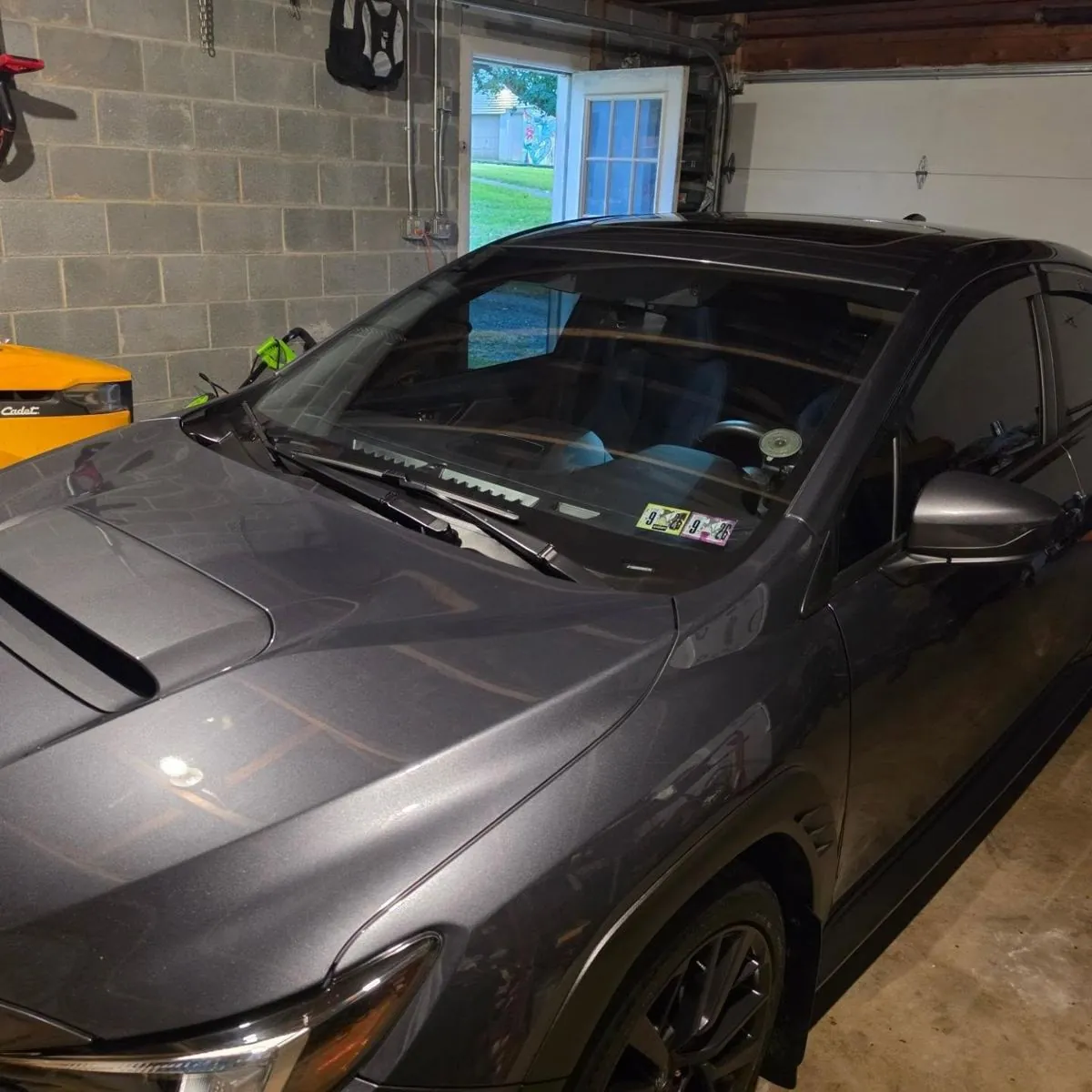 Fenrir in the garage the night before Boxerfest
