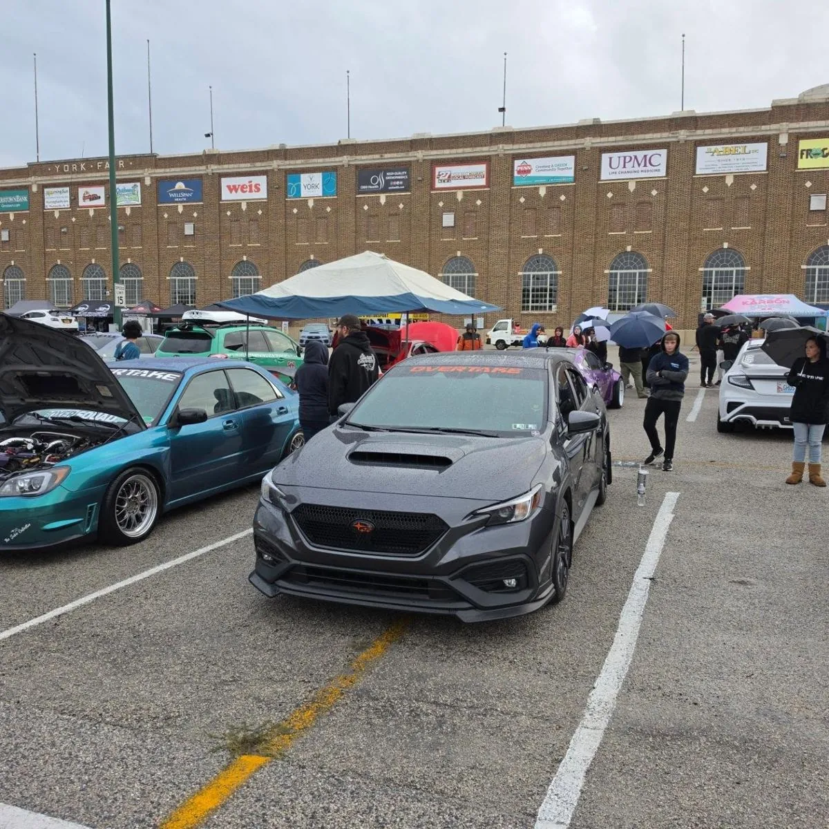Fenrir on the Boxerfest show lot