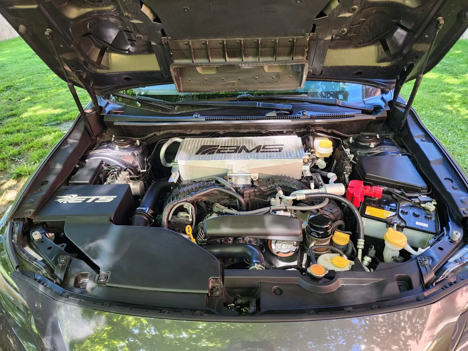 Engine bay, hood up in the grass