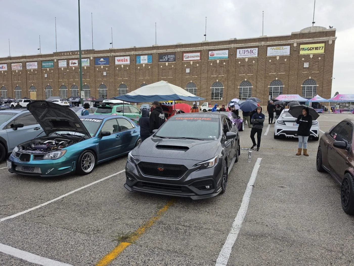 Fenrir in the show row at Boxerfest