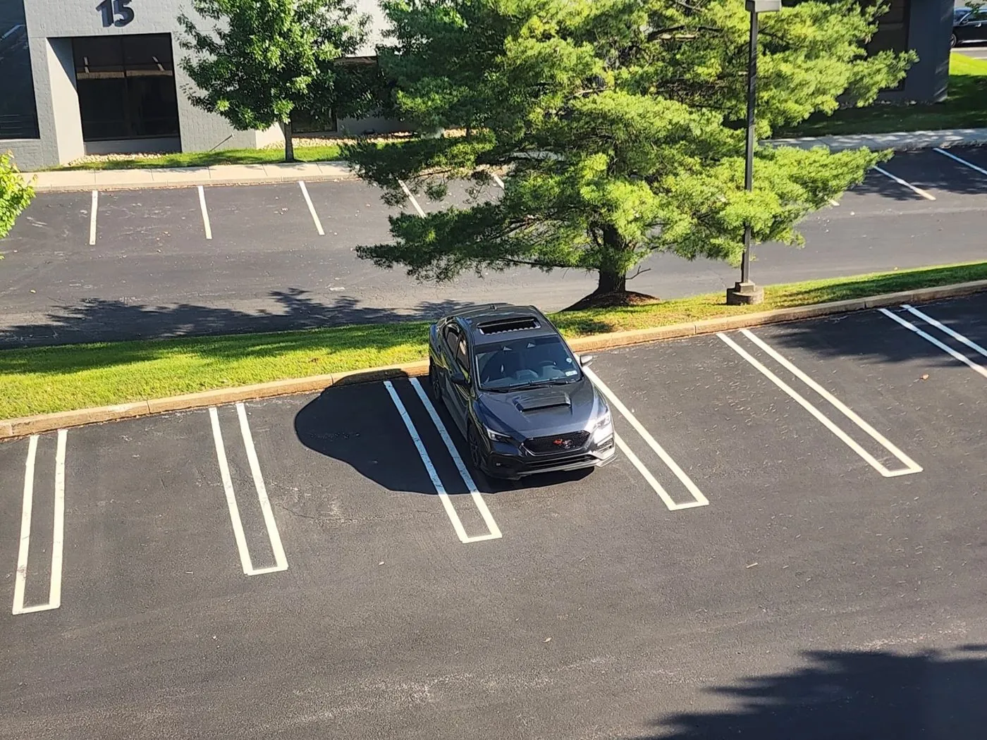 Alone in the lot
