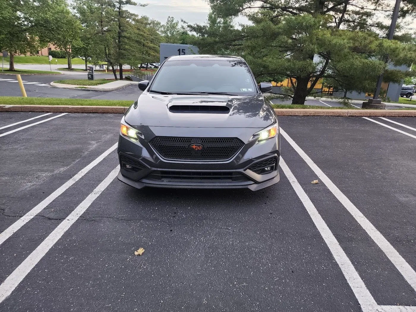 Head on between the lines